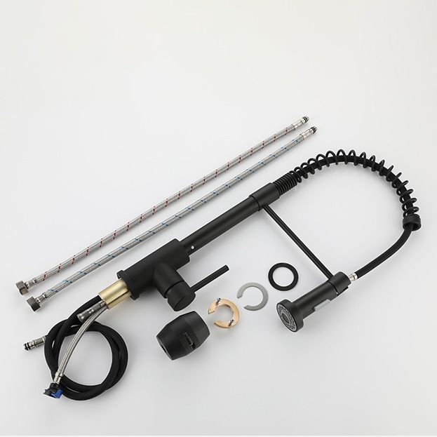 Modern Spring Spout Faucets 1-Handle 1-Hole with Water Dispenser Standard Kitchen Faucets Clearhalo 'Home Improvement' 'home_improvement' 'home_improvement_kitchen_faucets' 'Kitchen Faucets' 'Kitchen Remodel & Kitchen Fixtures' 'Kitchen Sinks & Faucet Components' 'kitchen_faucets' 1200x1200_8e1197fc-2c0a-4cf4-b0b4-c61e386aed62