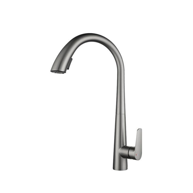 Contemporary Pull Down Kitchen Standard Faucet Single Handle Faucet with Pull Out Sprayer Clearhalo 'Home Improvement' 'home_improvement' 'home_improvement_kitchen_faucets' 'Kitchen Faucets' 'Kitchen Remodel & Kitchen Fixtures' 'Kitchen Sinks & Faucet Components' 'kitchen_faucets' 1200x1200_9063cee8-6163-477f-8b60-f961c6942847