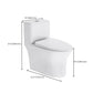 Modern Floor Mounted Toilet Slow Close Seat Included Toilet Bowl for Bathroom Clearhalo 'Bathroom Remodel & Bathroom Fixtures' 'Home Improvement' 'home_improvement' 'home_improvement_toilets' 'Toilets & Bidets' 'Toilets' 1200x1200_9063ec24-c62c-44ae-bf23-26da393e4681