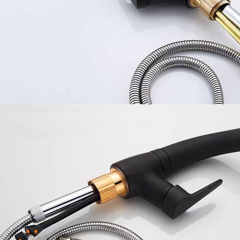 Modern 1-Handle Faucet 1-Hole with Water Dispenser Copper Pull down Faucet Clearhalo 'Home Improvement' 'home_improvement' 'home_improvement_kitchen_faucets' 'Kitchen Faucets' 'Kitchen Remodel & Kitchen Fixtures' 'Kitchen Sinks & Faucet Components' 'kitchen_faucets' 1200x1200_906f4a56-5ab0-40fb-a43e-0f1287695283