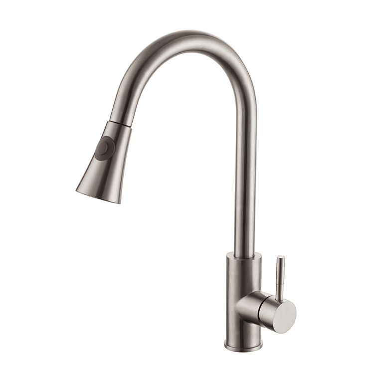 1-Hole Kitchen Faucet Stainless Steel Pull down Sprayer Kitchen Faucet Clearhalo 'Home Improvement' 'home_improvement' 'home_improvement_kitchen_faucets' 'Kitchen Faucets' 'Kitchen Remodel & Kitchen Fixtures' 'Kitchen Sinks & Faucet Components' 'kitchen_faucets' 1200x1200_908e40c0-5eef-4b19-a5e1-4f723f1856ff