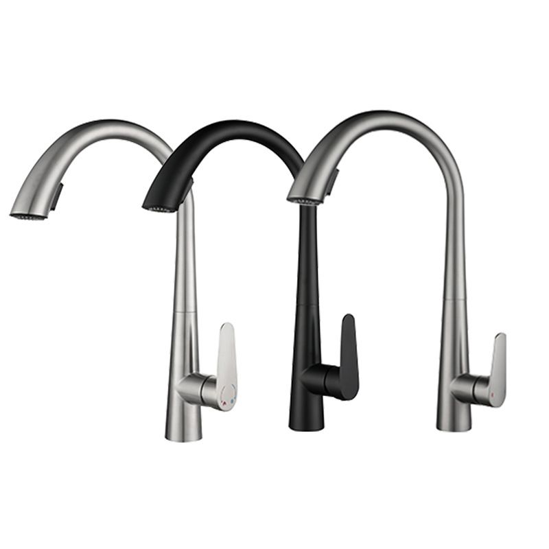 Modern Style Kitchen Faucet Stainless Steel Single Handle Gooseneck Kitchen Faucet Clearhalo 'Home Improvement' 'home_improvement' 'home_improvement_kitchen_faucets' 'Kitchen Faucets' 'Kitchen Remodel & Kitchen Fixtures' 'Kitchen Sinks & Faucet Components' 'kitchen_faucets' 1200x1200_91e85880-07c4-4959-b6d0-1b1174e3a9d9