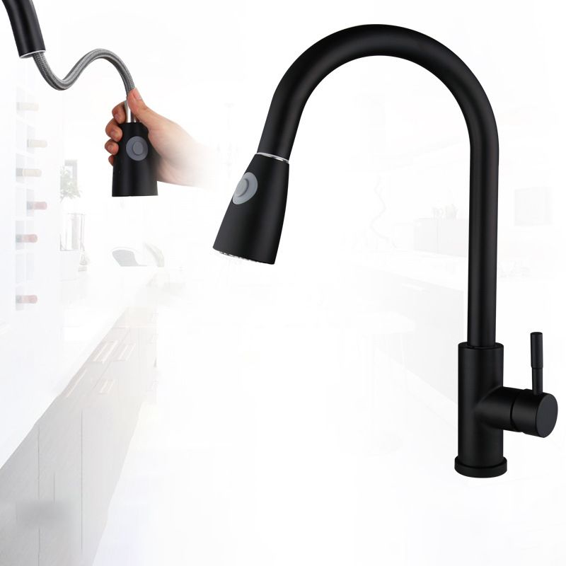 Kitchen Faucet Cold and Hot Controlled Rod Handle Stainless Black Kitchen Faucet Clearhalo 'Home Improvement' 'home_improvement' 'home_improvement_kitchen_faucets' 'Kitchen Faucets' 'Kitchen Remodel & Kitchen Fixtures' 'Kitchen Sinks & Faucet Components' 'kitchen_faucets' 1200x1200_91e9f279-acd8-40f7-9c12-5d2811d7d92c