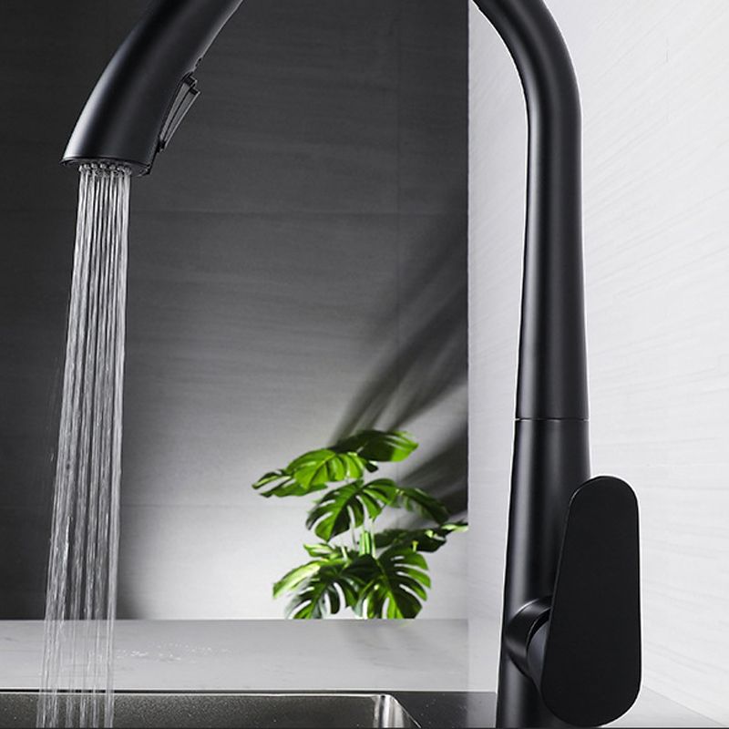 Modern Style Kitchen Faucet 304 Stainless Steel Single Handle Gooseneck Kitchen Faucet Clearhalo 'Home Improvement' 'home_improvement' 'home_improvement_kitchen_faucets' 'Kitchen Faucets' 'Kitchen Remodel & Kitchen Fixtures' 'Kitchen Sinks & Faucet Components' 'kitchen_faucets' 1200x1200_921fbe6d-91b3-492a-9bf1-702d8604615a
