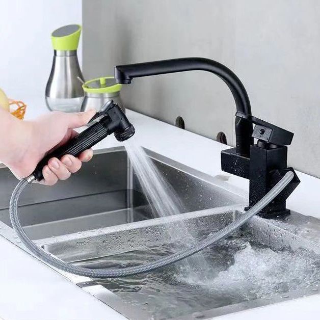Modern 1-Handle Faucet with Water Dispenser with Pull out Sprayer Faucet Clearhalo 'Home Improvement' 'home_improvement' 'home_improvement_kitchen_faucets' 'Kitchen Faucets' 'Kitchen Remodel & Kitchen Fixtures' 'Kitchen Sinks & Faucet Components' 'kitchen_faucets' 1200x1200_9375789c-c983-4590-94b7-4c8fbcdc3977