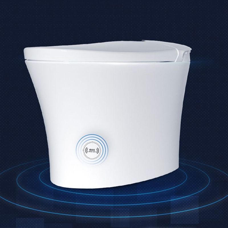 Dual Flush Smart Bidet Temperature Control Floor Standing Bidet Clearhalo 'Bathroom Remodel & Bathroom Fixtures' 'Bidets' 'Home Improvement' 'home_improvement' 'home_improvement_bidets' 'Toilets & Bidets' 1200x1200_938ac74f-2f3d-4db5-b169-09a54649ed83