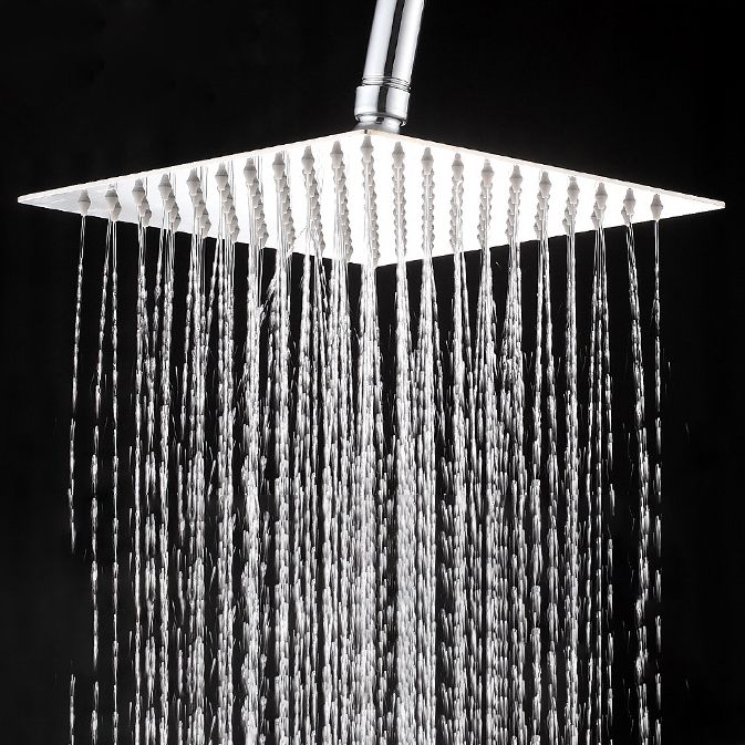 Wall-Mount Shower Head Stainless Steel Fixed Shower Head with Shower Arm Clearhalo 'Bathroom Remodel & Bathroom Fixtures' 'Home Improvement' 'home_improvement' 'home_improvement_shower_heads' 'Shower Heads' 'shower_heads' 'Showers & Bathtubs Plumbing' 'Showers & Bathtubs' 1200x1200_93ef63ef-8379-40ac-98b4-c5a83e9a43b5