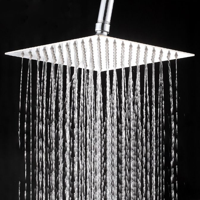 Wall-Mount Shower Head Stainless Steel Fixed Shower Head with Shower Arm Clearhalo 'Bathroom Remodel & Bathroom Fixtures' 'Home Improvement' 'home_improvement' 'home_improvement_shower_heads' 'Shower Heads' 'shower_heads' 'Showers & Bathtubs Plumbing' 'Showers & Bathtubs' 1200x1200_93ef63ef-8379-40ac-98b4-c5a83e9a43b5