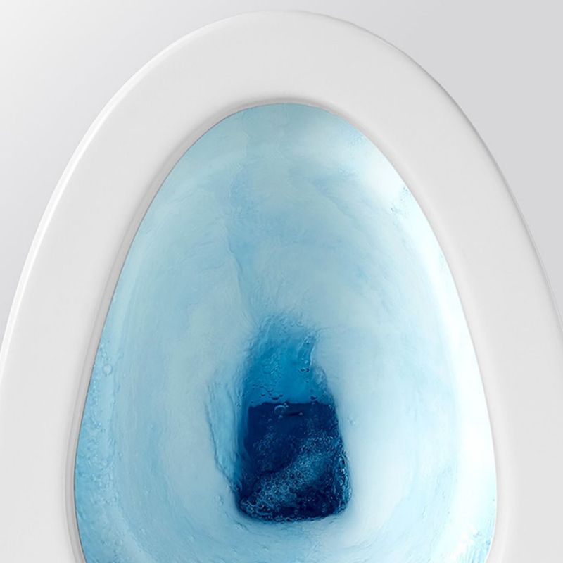 Vitreous China Smart Bidet Remote Control Included Floor Standing Bidet Clearhalo 'Bathroom Remodel & Bathroom Fixtures' 'Bidets' 'Home Improvement' 'home_improvement' 'home_improvement_bidets' 'Toilets & Bidets' 1200x1200_941dd232-3ac1-4274-972c-b55a3444e268