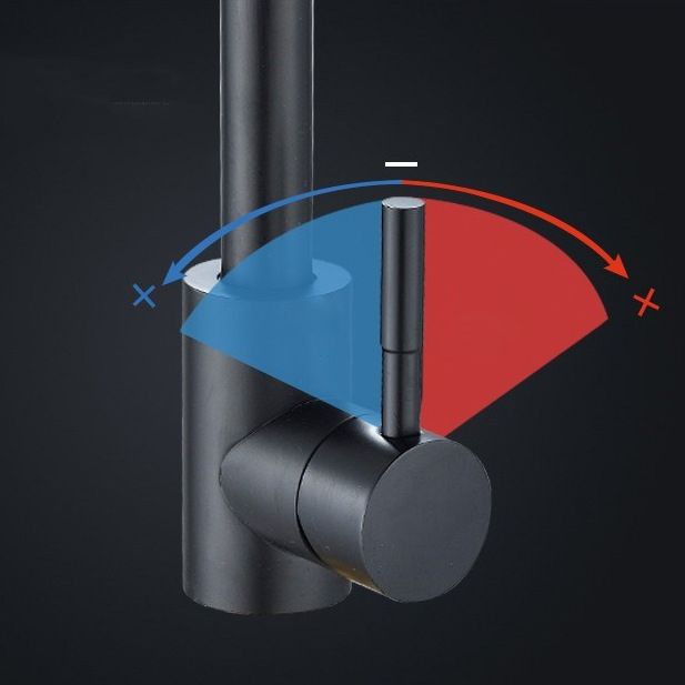 Traditional 1-Handle Faucets Stainless Steel Standard Kitchen Faucets Clearhalo 'Home Improvement' 'home_improvement' 'home_improvement_kitchen_faucets' 'Kitchen Faucets' 'Kitchen Remodel & Kitchen Fixtures' 'Kitchen Sinks & Faucet Components' 'kitchen_faucets' 1200x1200_9442529b-8e54-47eb-a478-72a3d1b25512