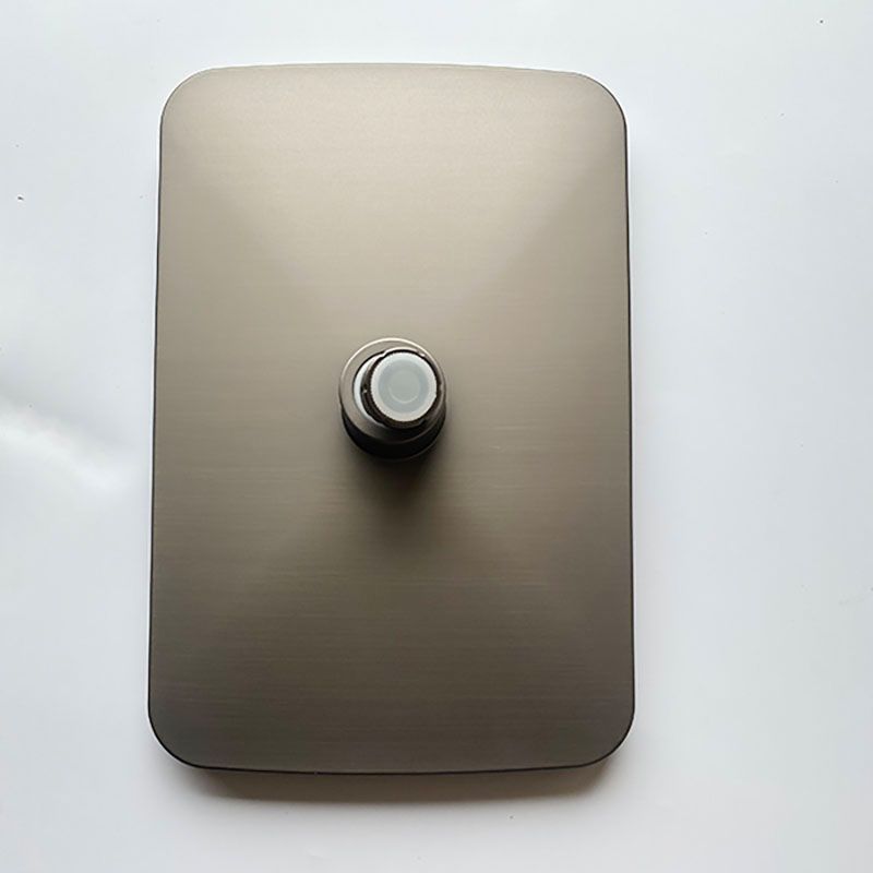 Black Large Shower Head Standard Spray Pattern with Handheld Shower Head Clearhalo 'Bathroom Remodel & Bathroom Fixtures' 'Home Improvement' 'home_improvement' 'home_improvement_shower_heads' 'Shower Heads' 'shower_heads' 'Showers & Bathtubs Plumbing' 'Showers & Bathtubs' 1200x1200_94b02575-53ad-4cd7-b38a-31184ed0cfaa