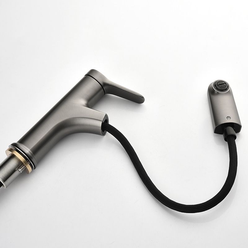 Modern 1-Handle Faucet with Water Dispenser Copper with Pull out Sprayer Faucet Clearhalo 'Home Improvement' 'home_improvement' 'home_improvement_kitchen_faucets' 'Kitchen Faucets' 'Kitchen Remodel & Kitchen Fixtures' 'Kitchen Sinks & Faucet Components' 'kitchen_faucets' 1200x1200_95268509-99be-4164-8857-d25989d1c20f