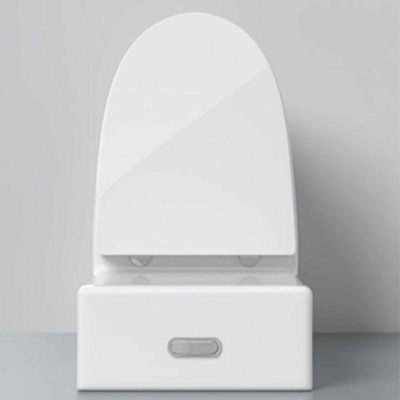 Modern Floor Mount Toilet Slow Close Seat Included Toilet Bowl for Washroom Clearhalo 'Bathroom Remodel & Bathroom Fixtures' 'Home Improvement' 'home_improvement' 'home_improvement_toilets' 'Toilets & Bidets' 'Toilets' 1200x1200_959e30a6-5795-4175-a796-65bb95cf3d9a