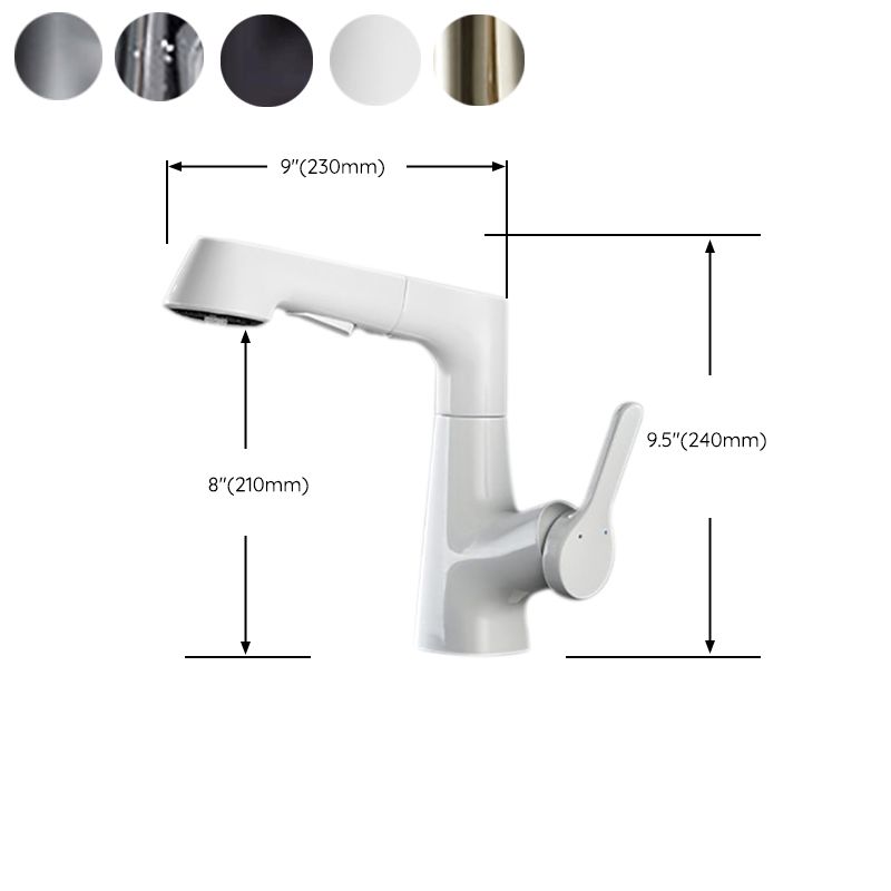 Contemporary Kitchen Faucet Single Handle 2-Function Faucet with Pull out Sprayer Clearhalo 'Home Improvement' 'home_improvement' 'home_improvement_kitchen_faucets' 'Kitchen Faucets' 'Kitchen Remodel & Kitchen Fixtures' 'Kitchen Sinks & Faucet Components' 'kitchen_faucets' 1200x1200_95ad4c03-3942-480c-8fc1-e0f760e02ca4