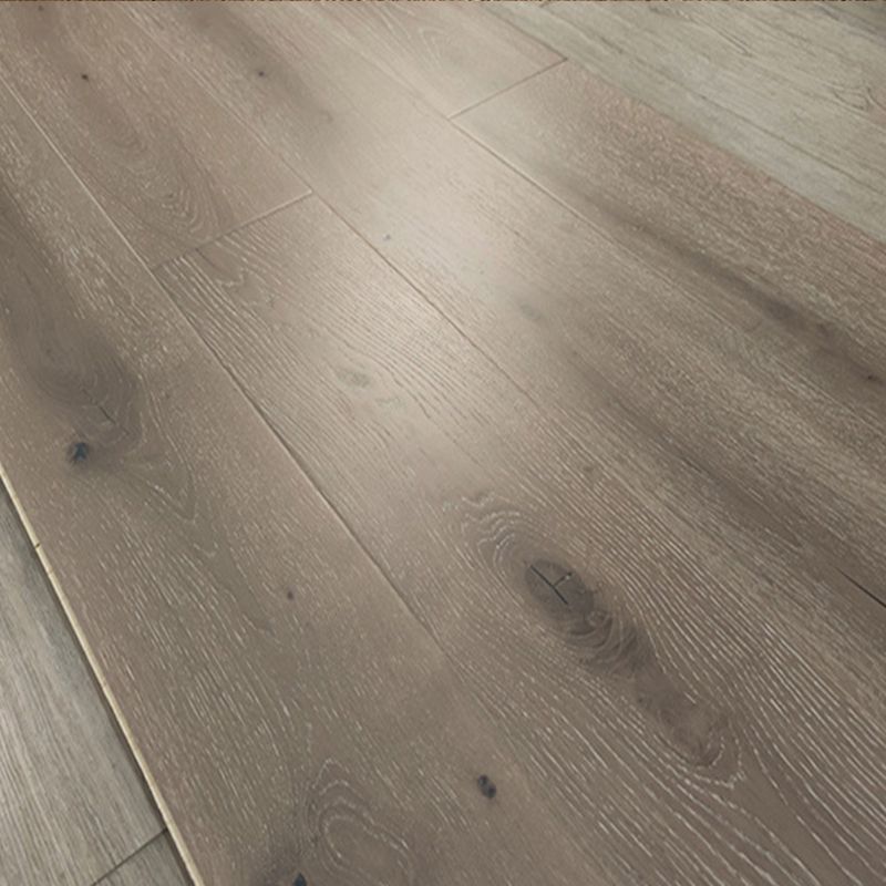 Classic Laminate Flooring Wood Indoor Living Room Waterproof Laminate Floor Clearhalo 'Flooring 'Home Improvement' 'home_improvement' 'home_improvement_laminate_flooring' 'Laminate Flooring' 'laminate_flooring' Walls and Ceiling' 1200x1200_95cac539-12ac-4f44-9c36-cab5a36fdfce