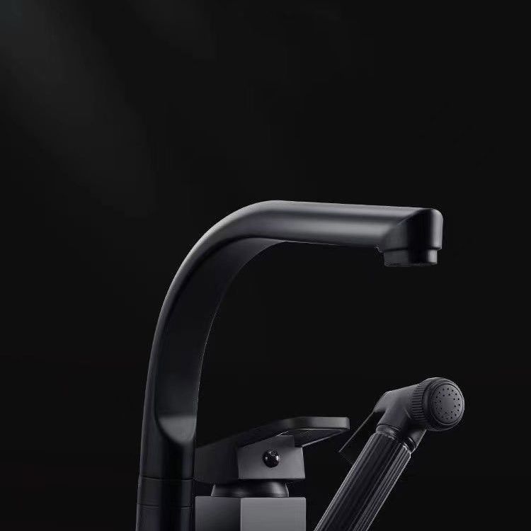 Modern 1-Handle Faucet with Water Dispenser with Pull out Sprayer Faucet Clearhalo 'Home Improvement' 'home_improvement' 'home_improvement_kitchen_faucets' 'Kitchen Faucets' 'Kitchen Remodel & Kitchen Fixtures' 'Kitchen Sinks & Faucet Components' 'kitchen_faucets' 1200x1200_97ce451e-cc97-491d-9fda-484c94b22d37