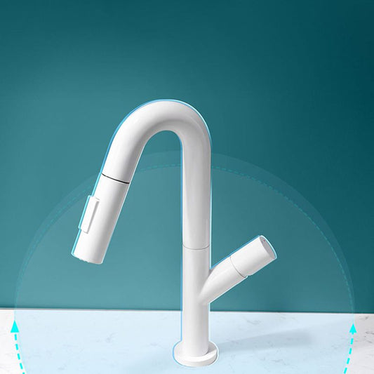 High-Arc Modern Style Bathroom Faucet Single Handle Pull-out Faucet Clearhalo 'Home Improvement' 'home_improvement' 'home_improvement_kitchen_faucets' 'Kitchen Faucets' 'Kitchen Remodel & Kitchen Fixtures' 'Kitchen Sinks & Faucet Components' 'kitchen_faucets' 1200x1200_980bd649-5f25-434e-8509-69ddc0e2575a