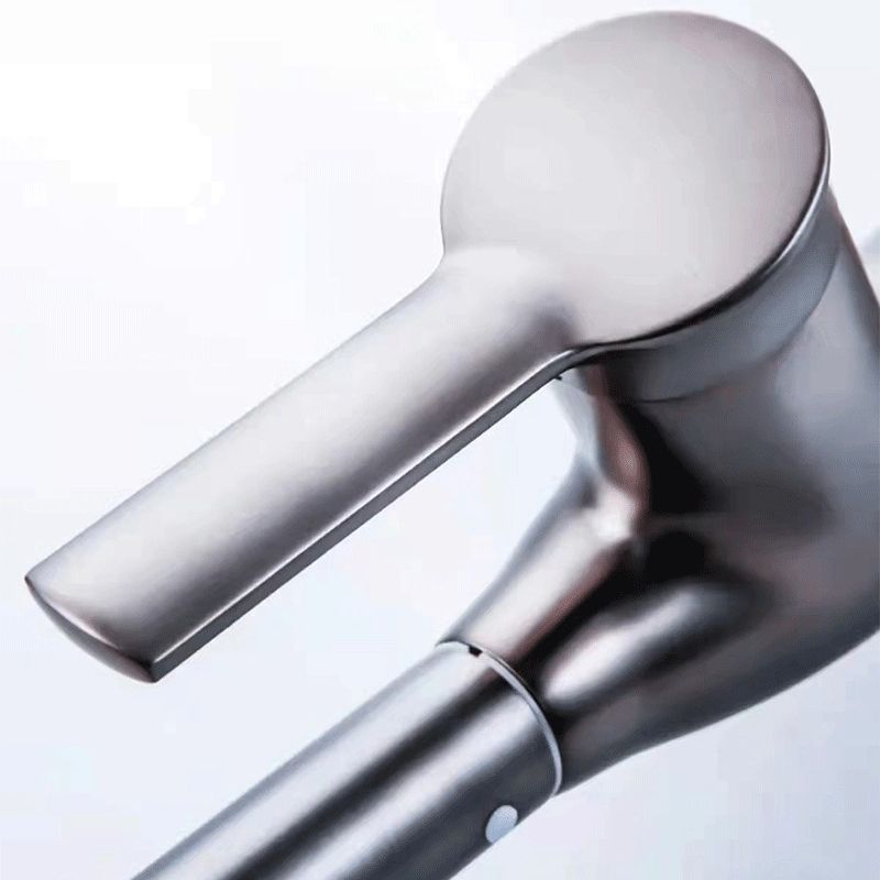 1-Hole 1-Handle Faucet Pull out Sprayer Standard Kitchen Faucet Clearhalo 'Home Improvement' 'home_improvement' 'home_improvement_kitchen_faucets' 'Kitchen Faucets' 'Kitchen Remodel & Kitchen Fixtures' 'Kitchen Sinks & Faucet Components' 'kitchen_faucets' 1200x1200_9a3562ed-57a4-4da8-9bf3-f067f7ef5b97