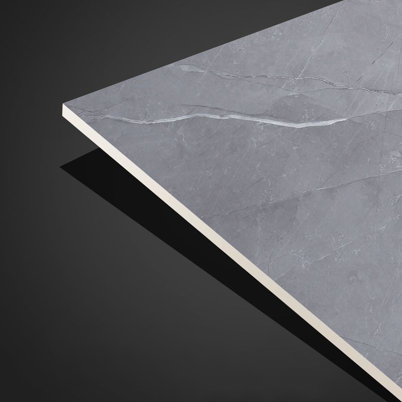 Contemporary Laminate Tongue and Groove Locking Slip Resistant Waterproof Clearhalo 'Flooring 'Home Improvement' 'home_improvement' 'home_improvement_laminate_flooring' 'Laminate Flooring' 'laminate_flooring' Walls and Ceiling' 1200x1200_9a980bad-4033-4207-9386-41f4c09cdcd3