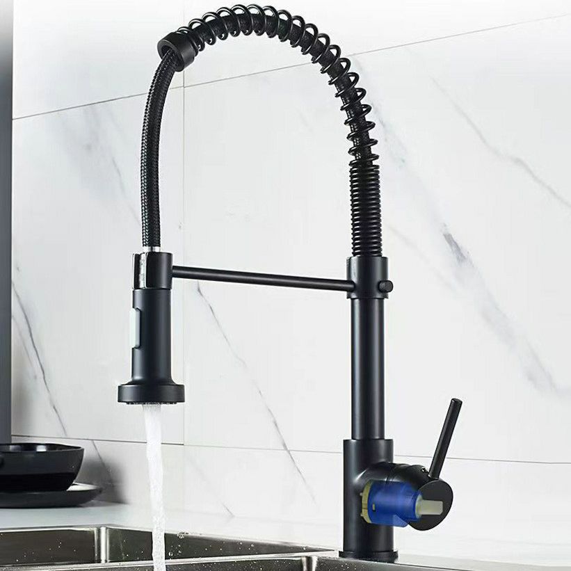 Modern 1-Handle Faucet Spring Spout with Water Dispenser Standard Kitchen Faucet Clearhalo 'Home Improvement' 'home_improvement' 'home_improvement_kitchen_faucets' 'Kitchen Faucets' 'Kitchen Remodel & Kitchen Fixtures' 'Kitchen Sinks & Faucet Components' 'kitchen_faucets' 1200x1200_9ae981bc-afc2-4e08-9ee8-0c9326120b5e