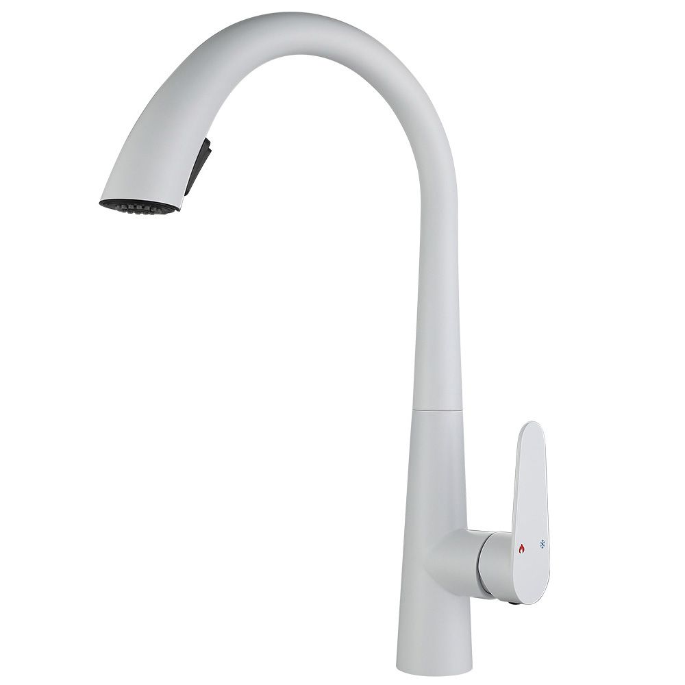 Contemporary High-Arc Kitchen Faucet Swivel Spout with Pull Down Sprayer Clearhalo 'Home Improvement' 'home_improvement' 'home_improvement_kitchen_faucets' 'Kitchen Faucets' 'Kitchen Remodel & Kitchen Fixtures' 'Kitchen Sinks & Faucet Components' 'kitchen_faucets' 1200x1200_9b5e1858-376f-48cd-b23f-23532b027a56