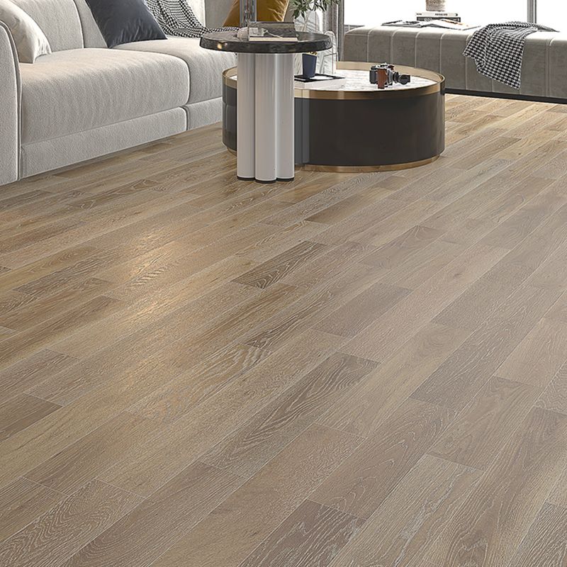 Solid Hardwood Flooring Tradition Rectangle Hardwood Deck Tiles Clearhalo 'Flooring 'Hardwood Flooring' 'hardwood_flooring' 'Home Improvement' 'home_improvement' 'home_improvement_hardwood_flooring' Walls and Ceiling' 1200x1200_9b664512-a0c4-48d3-ba17-6d1256f9b3f8