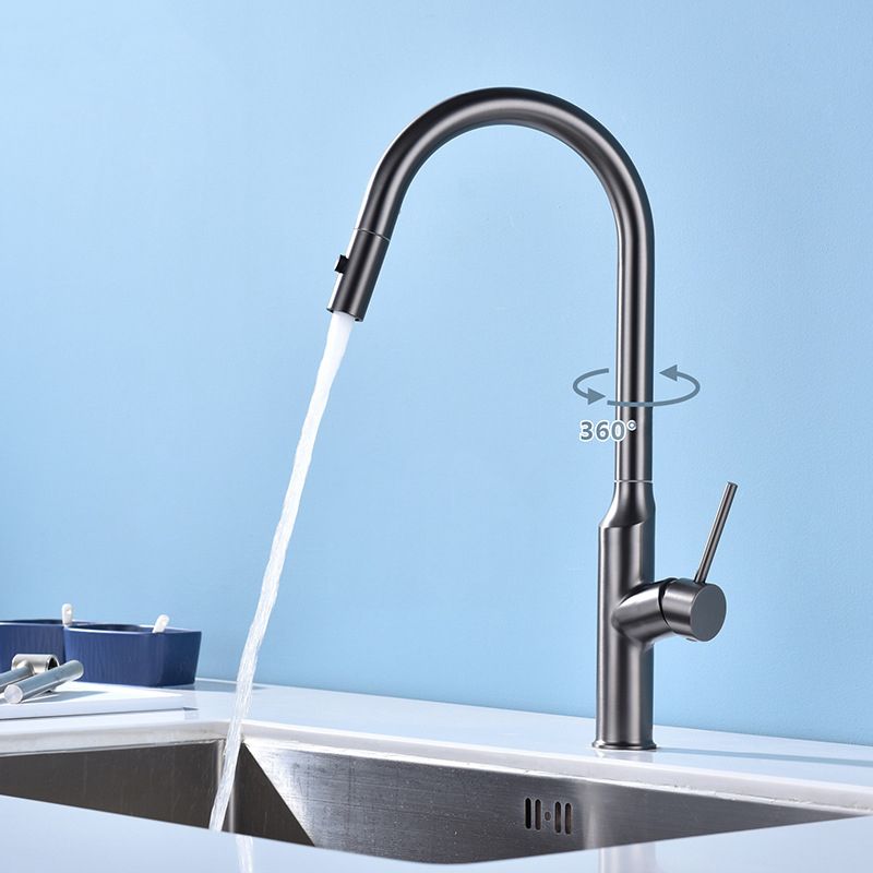 Modern Kitchen Faucet Stainless Steel 1-Handle High Arc Retractable Kitchen Faucet Clearhalo 'Home Improvement' 'home_improvement' 'home_improvement_kitchen_faucets' 'Kitchen Faucets' 'Kitchen Remodel & Kitchen Fixtures' 'Kitchen Sinks & Faucet Components' 'kitchen_faucets' 1200x1200_9bd03765-6771-4dfa-a3bc-8ebe5f4097e7