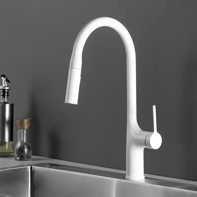 Contemporary Pull Down Single Handle Kitchen Faucet High Arch Water Filler Clearhalo 'Home Improvement' 'home_improvement' 'home_improvement_kitchen_faucets' 'Kitchen Faucets' 'Kitchen Remodel & Kitchen Fixtures' 'Kitchen Sinks & Faucet Components' 'kitchen_faucets' 1200x1200_9be98006-53db-4b8c-b1d2-38b507be5a9c