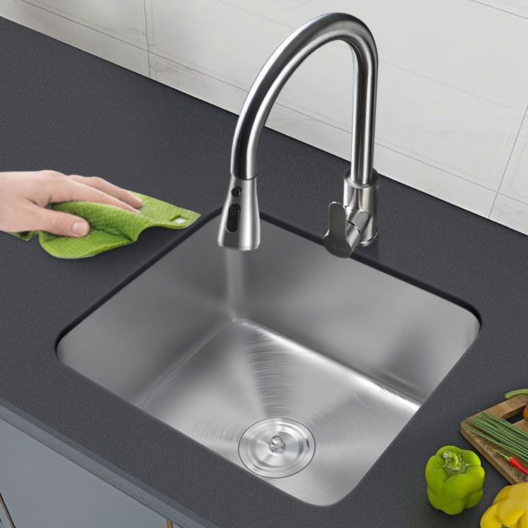 Contemporary Style Kitchen Sink Stainless Steel Undermount Kitchen Sink Clearhalo 'Home Improvement' 'home_improvement' 'home_improvement_kitchen_sinks' 'Kitchen Remodel & Kitchen Fixtures' 'Kitchen Sinks & Faucet Components' 'Kitchen Sinks' 'kitchen_sinks' 1200x1200_9d168fcc-19cb-484b-bb21-30f3e44a83eb