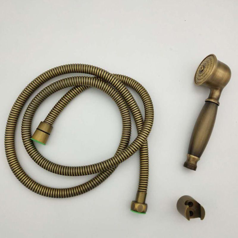 Traditional Handheld Shower Head with Hose Polished Brass Wall-Mount Showerhead Clearhalo 'Bathroom Remodel & Bathroom Fixtures' 'Home Improvement' 'home_improvement' 'home_improvement_shower_heads' 'Shower Heads' 'shower_heads' 'Showers & Bathtubs Plumbing' 'Showers & Bathtubs' 1200x1200_9d740396-000a-48f3-b77f-323eaa4ea9eb