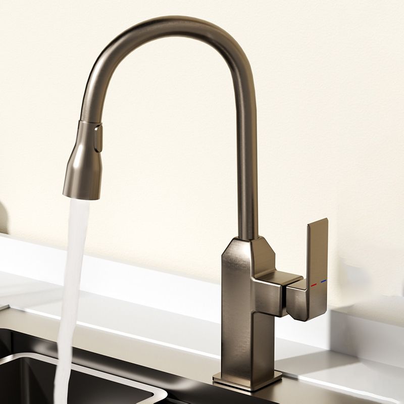 Modern Pull Down Pot Filler One Handle High Profile Filler with Sprayer Clearhalo 'Home Improvement' 'home_improvement' 'home_improvement_kitchen_faucets' 'Kitchen Faucets' 'Kitchen Remodel & Kitchen Fixtures' 'Kitchen Sinks & Faucet Components' 'kitchen_faucets' 1200x1200_9d847a8f-734f-4850-8000-46bafdc62960