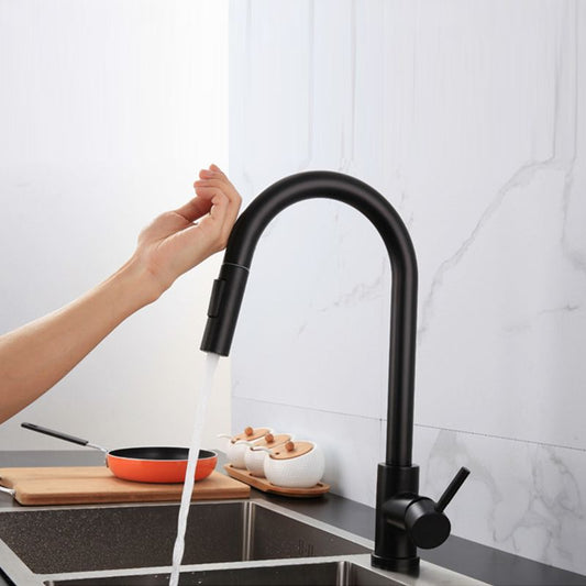 Traditional Pull down Kitchen Faucet Single Handle Faucet with Pull out Sprayer Clearhalo 'Home Improvement' 'home_improvement' 'home_improvement_kitchen_faucets' 'Kitchen Faucets' 'Kitchen Remodel & Kitchen Fixtures' 'Kitchen Sinks & Faucet Components' 'kitchen_faucets' 1200x1200_9eead8ef-ab8e-4ac1-87c0-5e3f53f53cae