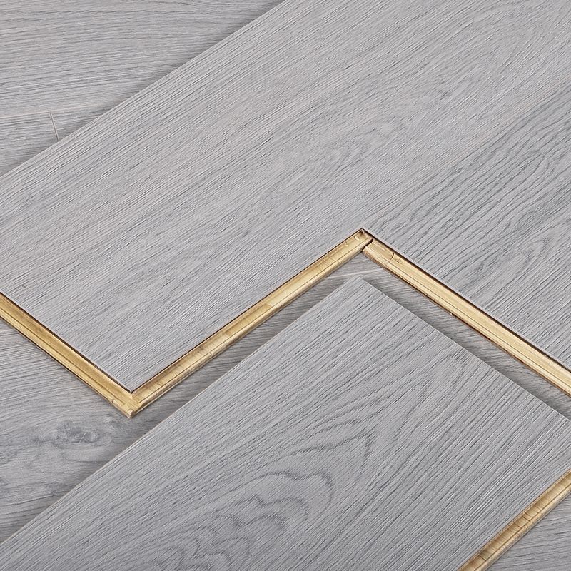 Classic 8" X 49" X 15mm Laminate Flooring, Click-Lock, Waterproof Clearhalo 'Flooring 'Home Improvement' 'home_improvement' 'home_improvement_laminate_flooring' 'Laminate Flooring' 'laminate_flooring' Walls and Ceiling' 1200x1200_9f1cf8eb-3881-4eef-87e7-4b5ff34f976f