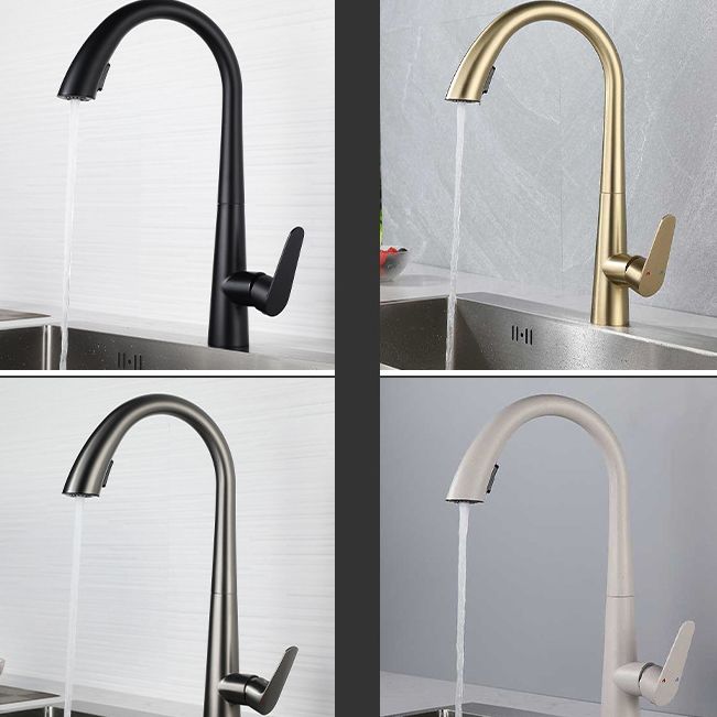 Modern Kitchen Faucet Stainless Steel Single Handle Retractable High Arc Kitchen Faucet Clearhalo 'Home Improvement' 'home_improvement' 'home_improvement_kitchen_faucets' 'Kitchen Faucets' 'Kitchen Remodel & Kitchen Fixtures' 'Kitchen Sinks & Faucet Components' 'kitchen_faucets' 1200x1200_9f2cfc09-eae5-4aa5-bc46-9728ef95c4ad