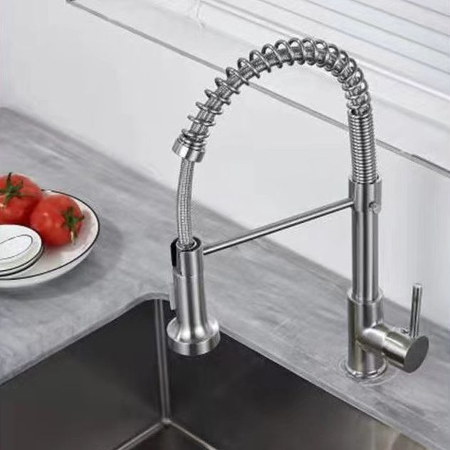 Modern Farmhouse One Handle Spring Spout Kitchen Faucet High Arch Water Filler Clearhalo 'Home Improvement' 'home_improvement' 'home_improvement_kitchen_faucets' 'Kitchen Faucets' 'Kitchen Remodel & Kitchen Fixtures' 'Kitchen Sinks & Faucet Components' 'kitchen_faucets' 1200x1200_9f485eef-8042-48bf-9e45-55ec7cb114bc