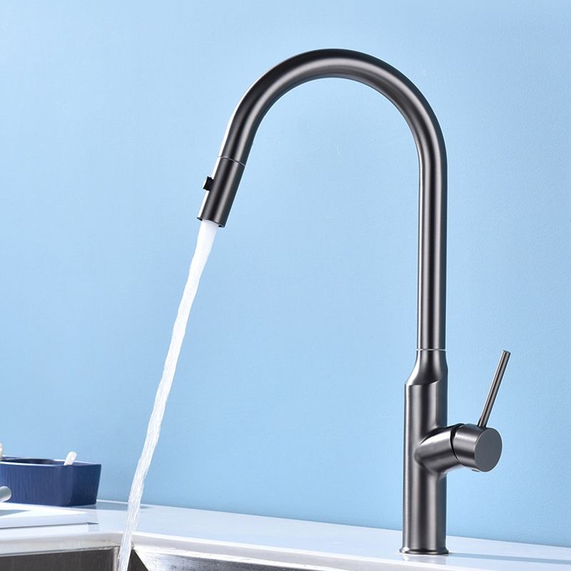 Modern 1-Handle Faucets Stainless Steel with Water Dispenser Pull down Faucets Clearhalo 'Home Improvement' 'home_improvement' 'home_improvement_kitchen_faucets' 'Kitchen Faucets' 'Kitchen Remodel & Kitchen Fixtures' 'Kitchen Sinks & Faucet Components' 'kitchen_faucets' 1200x1200_9f5ba221-e3e0-4143-a81b-61abade13c35