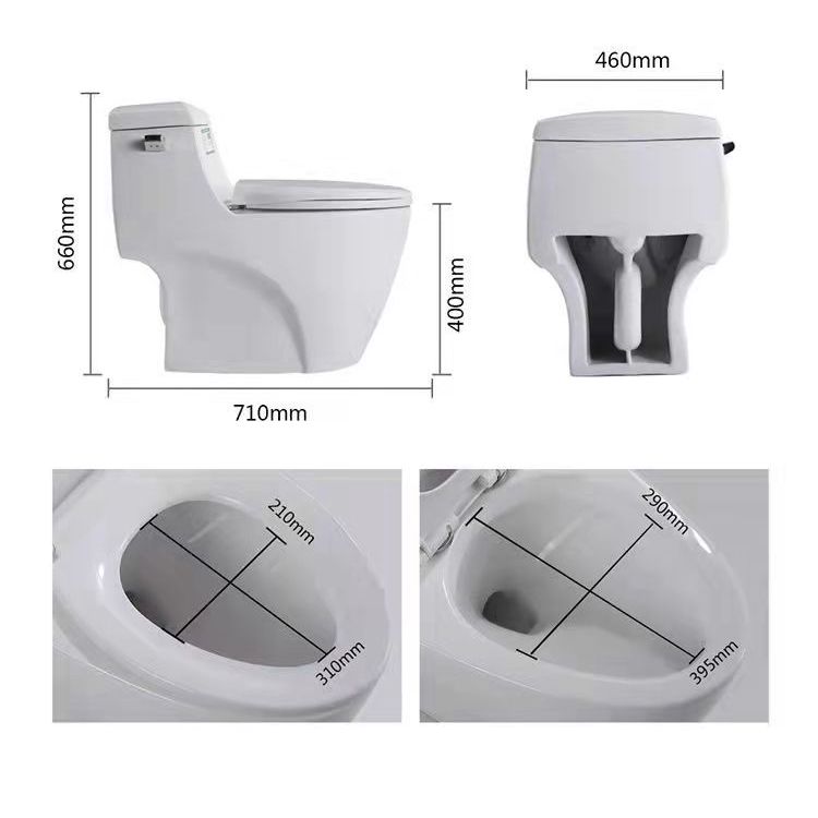 Modern Ceramic Siphon Jet Toilet Bowl Floor Mount Flush Toilet with Toilet Seat Clearhalo 'Bathroom Remodel & Bathroom Fixtures' 'Home Improvement' 'home_improvement' 'home_improvement_toilets' 'Toilets & Bidets' 'Toilets' 1200x1200_a00c42ff-905d-4e51-9500-27a153858c3d