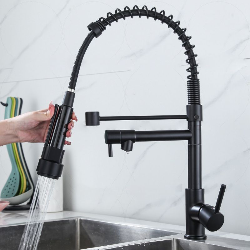 Modern Farmhouse Faucet Spout Double Levers Kitchen Faucet High Arch Filler with Sprayer Clearhalo 'Home Improvement' 'home_improvement' 'home_improvement_kitchen_faucets' 'Kitchen Faucets' 'Kitchen Remodel & Kitchen Fixtures' 'Kitchen Sinks & Faucet Components' 'kitchen_faucets' 1200x1200_a085eec1-0246-4259-8d60-c7f32af2164e