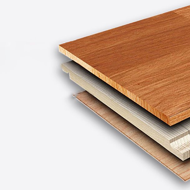 Traditional Laminate Floor Click-Lock Mildew Resistant Laminate Flooring Clearhalo 'Flooring 'Home Improvement' 'home_improvement' 'home_improvement_laminate_flooring' 'Laminate Flooring' 'laminate_flooring' Walls and Ceiling' 1200x1200_a08cdaf2-3199-40cf-b9f1-a38c7ec7a6bb