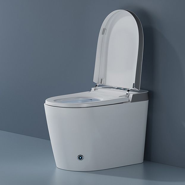 Elongated Floor Mount Bidet All-In-One Bidet with Heated Seat Clearhalo 'Bathroom Remodel & Bathroom Fixtures' 'Bidets' 'Home Improvement' 'home_improvement' 'home_improvement_bidets' 'Toilets & Bidets' 1200x1200_a09ff14d-56c2-4288-b561-612e49c60984
