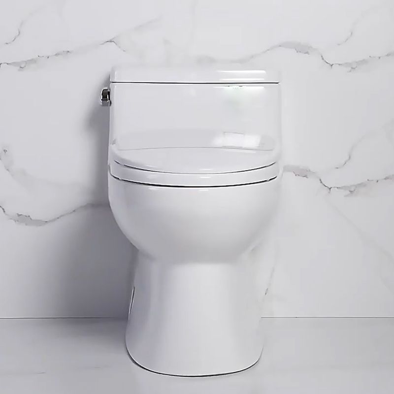 Traditional One Piece Flush Toilet Floor Mounted White Toilet Bowl for Bathroom Clearhalo 'Bathroom Remodel & Bathroom Fixtures' 'Home Improvement' 'home_improvement' 'home_improvement_toilets' 'Toilets & Bidets' 'Toilets' 1200x1200_a0e1bf60-3890-4081-9f16-061476a66b4c