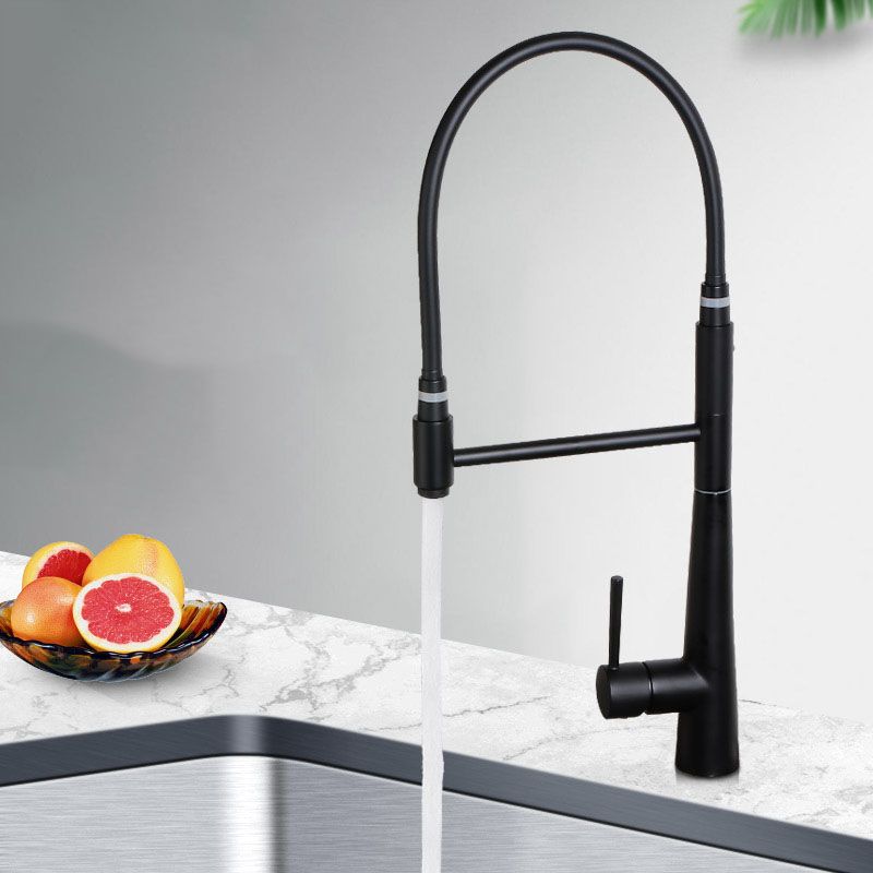 Modern Farmhouse Kitchen Faucet Pull down One Handle High Arch Water Filler Clearhalo 'Home Improvement' 'home_improvement' 'home_improvement_kitchen_faucets' 'Kitchen Faucets' 'Kitchen Remodel & Kitchen Fixtures' 'Kitchen Sinks & Faucet Components' 'kitchen_faucets' 1200x1200_a12e3c00-1578-4fde-9b1b-04eef01f8d21