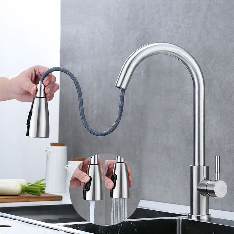 Modern 1-Handle Faucet 304 Stainless Steel with Water Dispenser Pull down Faucet Clearhalo 'Home Improvement' 'home_improvement' 'home_improvement_kitchen_faucets' 'Kitchen Faucets' 'Kitchen Remodel & Kitchen Fixtures' 'Kitchen Sinks & Faucet Components' 'kitchen_faucets' 1200x1200_a14da3dd-f13d-444d-a85c-d9a07d8db8f1
