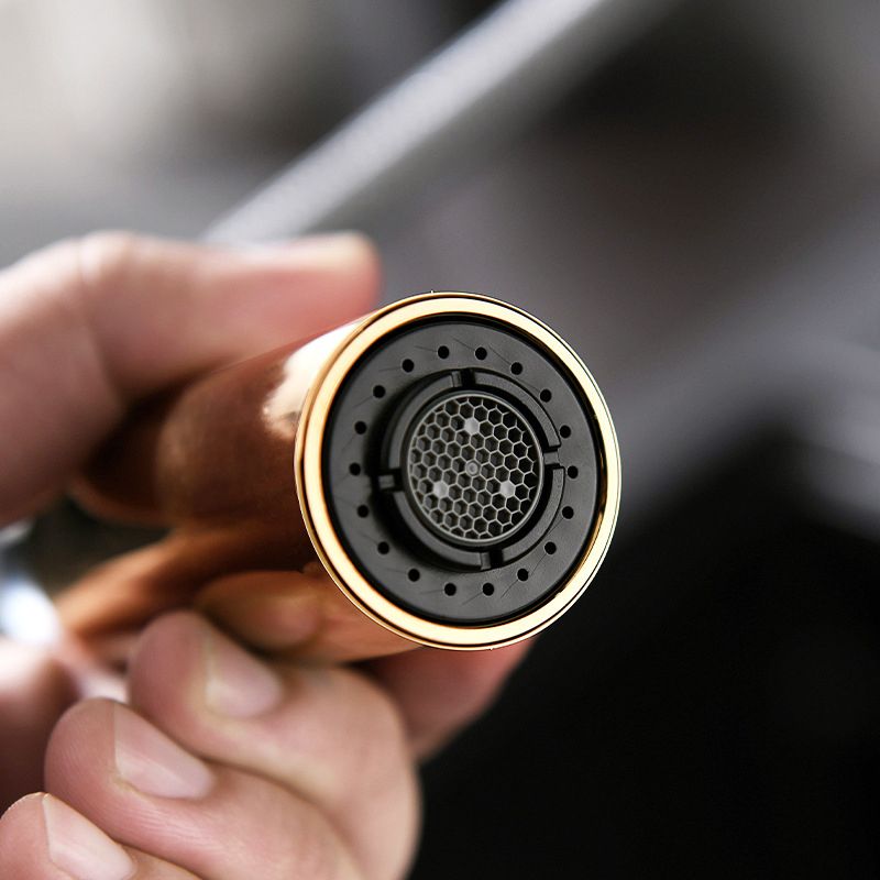 Pull Down Kitchen Faucet Single Handle 2-Function Faucet with Pull Out Sprayer Clearhalo 'Home Improvement' 'home_improvement' 'home_improvement_kitchen_faucets' 'Kitchen Faucets' 'Kitchen Remodel & Kitchen Fixtures' 'Kitchen Sinks & Faucet Components' 'kitchen_faucets' 1200x1200_a239513c-d6f1-407e-905f-ebdd3be8dabb