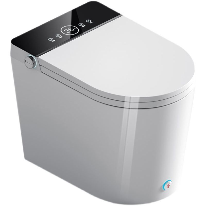 Contemporary Electronic Elongated Toilet Floor Standing Bidet Clearhalo 'Bathroom Remodel & Bathroom Fixtures' 'Bidets' 'Home Improvement' 'home_improvement' 'home_improvement_bidets' 'Toilets & Bidets' 1200x1200_a255ff1b-aa1a-46ea-98c0-59a7c73a1fbf