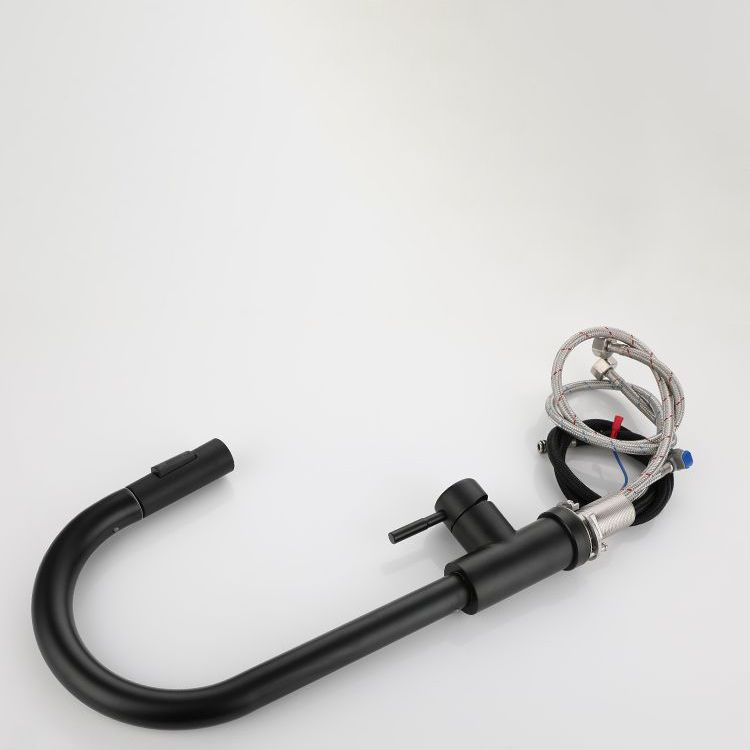 Modern Pull down Sprayer Water Filler One Handle High Arch Kitchen Faucet Clearhalo 'Home Improvement' 'home_improvement' 'home_improvement_kitchen_faucets' 'Kitchen Faucets' 'Kitchen Remodel & Kitchen Fixtures' 'Kitchen Sinks & Faucet Components' 'kitchen_faucets' 1200x1200_a2e5d51e-671e-4e9e-961a-f2c2b4ecaaf1