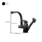 Modern 1-Handle Faucet with Water Dispenser with Pull out Sprayer Faucet Clearhalo 'Home Improvement' 'home_improvement' 'home_improvement_kitchen_faucets' 'Kitchen Faucets' 'Kitchen Remodel & Kitchen Fixtures' 'Kitchen Sinks & Faucet Components' 'kitchen_faucets' 1200x1200_a30854af-bce2-4d39-a337-68420d857b5d