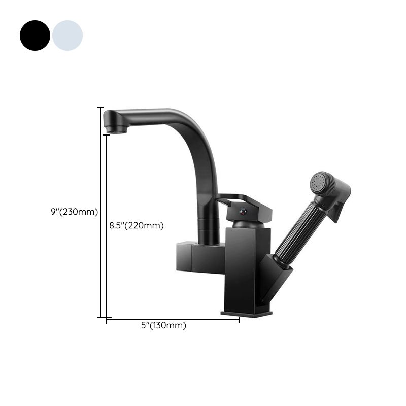 Modern 1-Handle Faucet with Water Dispenser with Pull out Sprayer Faucet Clearhalo 'Home Improvement' 'home_improvement' 'home_improvement_kitchen_faucets' 'Kitchen Faucets' 'Kitchen Remodel & Kitchen Fixtures' 'Kitchen Sinks & Faucet Components' 'kitchen_faucets' 1200x1200_a30854af-bce2-4d39-a337-68420d857b5d