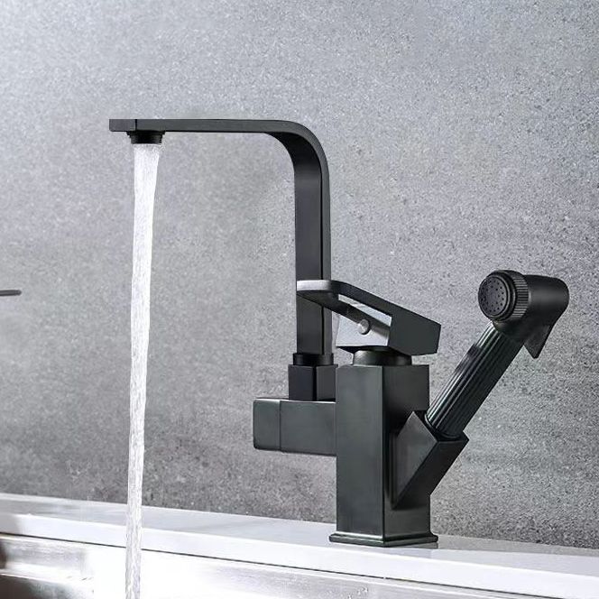 Modern 1-Handle Faucet with Water Dispenser with Pull out Sprayer Faucet Clearhalo 'Home Improvement' 'home_improvement' 'home_improvement_kitchen_faucets' 'Kitchen Faucets' 'Kitchen Remodel & Kitchen Fixtures' 'Kitchen Sinks & Faucet Components' 'kitchen_faucets' 1200x1200_a38b0d56-b828-4131-b0ed-9dad74672768