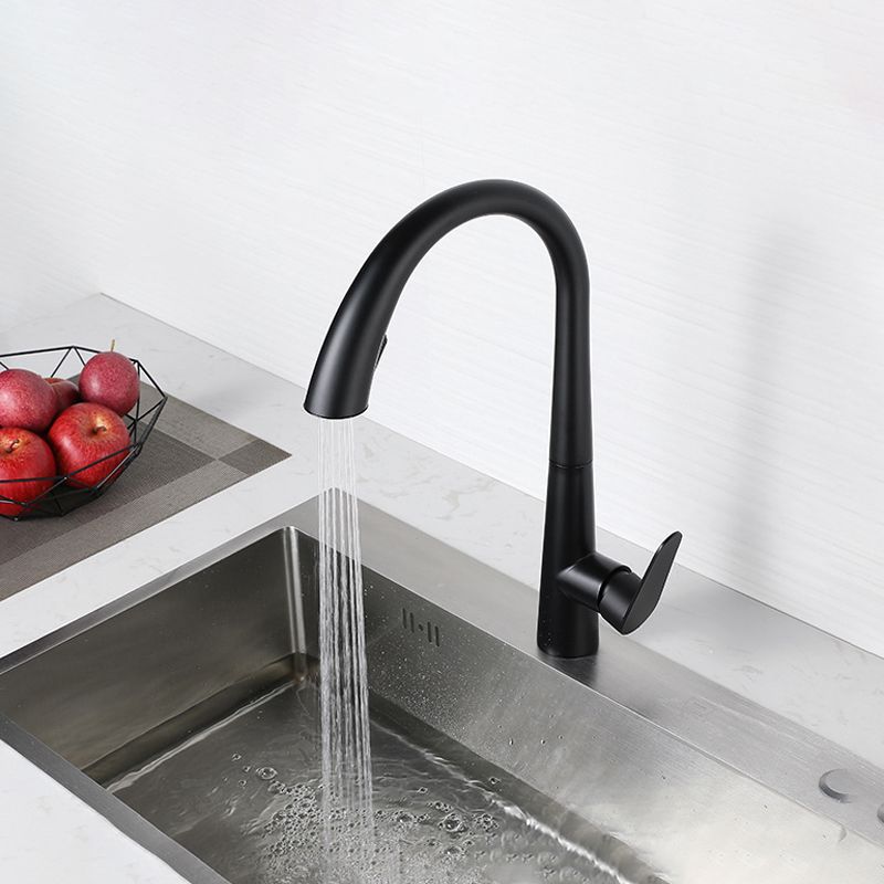 Modern Style Kitchen Faucet Stainless Steel Single Handle Gooseneck Kitchen Faucet Clearhalo 'Home Improvement' 'home_improvement' 'home_improvement_kitchen_faucets' 'Kitchen Faucets' 'Kitchen Remodel & Kitchen Fixtures' 'Kitchen Sinks & Faucet Components' 'kitchen_faucets' 1200x1200_a6454e53-37eb-4709-bf59-3be26014e0ab